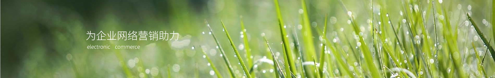 ŶܿƼ޹˾